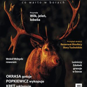 Magazyn Bory Tucholskie nr 4