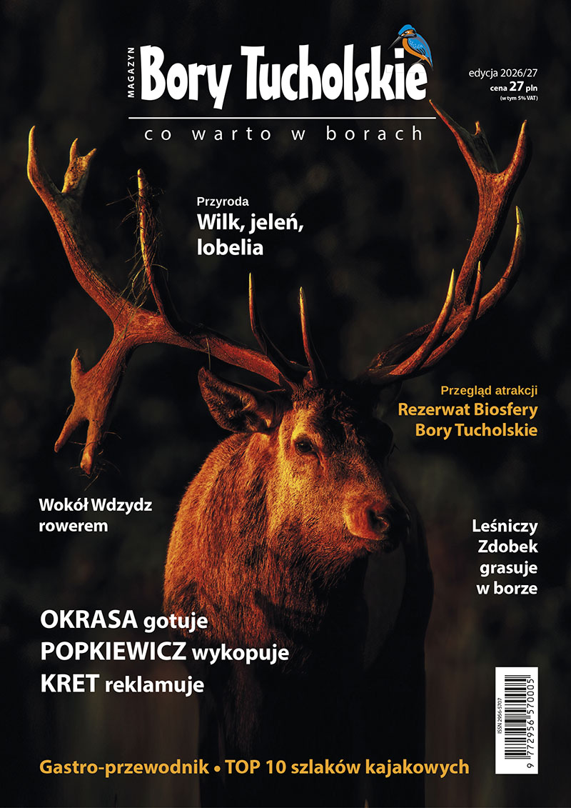 Magazyn Bory Tucholskie nr 4