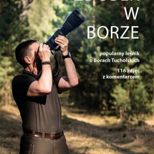 Zdobek w borze